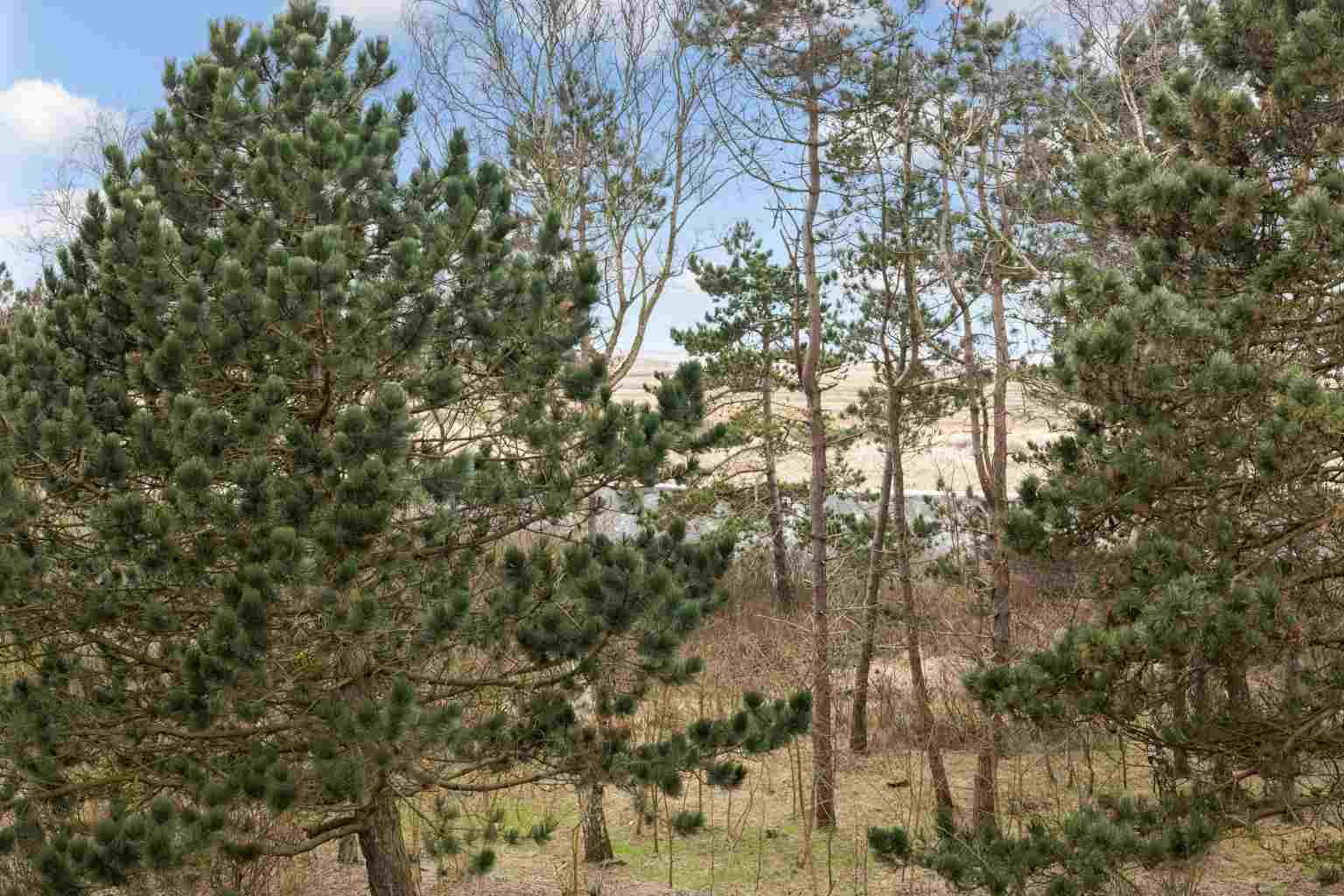 Wohnung 12